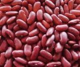 Red Kidney Beans (013)