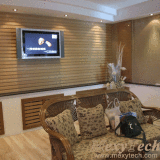 Indoor Wall Decoration Panel, Composite Wood Material