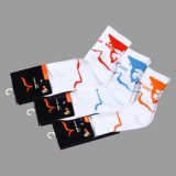 Socks (VO22)
