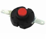 Push Buttion Switch (T-2219)