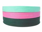 PP Webbing