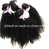 Natural Balck Color Afro Kinky Human Hair for Braiding, Virgin Afro Kinky Human Hair