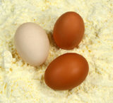 High Gel Egg White Powder