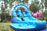 Inflatable Water Slides (JSL-17)
