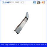 Inner &Outer Decking for Escalator Parts (ZJSCYT D100)