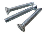 DIN963 Slotted Countersunk Head Screw for Industry