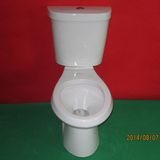 Top Flush Close Coupled Sanitary Ware