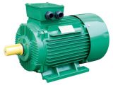 GOST Standard Three Phase Electric Motor
