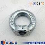 Galvanized DIN582 High Strength Lifting Eye Nut