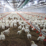 High Quality Poultry Control Shed Equipment