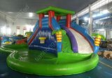 Hot Sale Rental Inflatable Water Slide