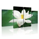 Home Wall Decoration Flower Photo on Canvas