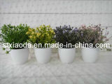 Artificial Plastic Grass Bonsai (XD13-251)