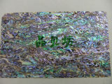 Hot Sale Purple/Green Abalone Shell Sheet/Shell Paper