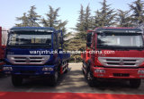 Sinotruk HOWO Series Cargo Truck/Cargo Crane