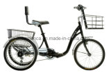 Electric Tricycle (MT502)