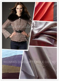 Polyester Nylon Two Tone Fabric for Garment Fabric/Women Down Jacket Fabric (DNT3101)