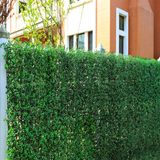 Top Artificial Green Leaf Fence