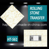PVC Laminated Panel for Wall and Ceiling