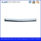 Handrail Guide Rail for Escalator (ZJSCYT BR001)