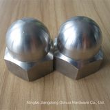 Stainless Steel Decorative Furniture Cap Nut