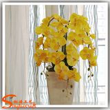 Plastic Product Home Decoration Artificial Plant Bonsai Grass