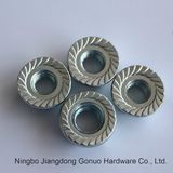 DIN 6923 Round Head Hex Flange Nut