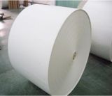 PE Coated Paper for Cup/Paper Cup Fan