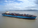 Mature Experience Consolidator in Maersk Shipping From China to Worldwide