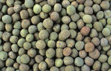 2014 Origin Green Peas (pisum satiyum) Animal Feeds