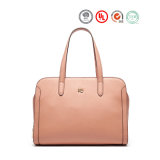 Latest Leather Trendy Ladies Handbags Brand Designer Handbags (Y064-A2957)