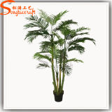 Artificial Bonsai of Lacy Tree Philodendron