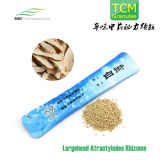 Traditional Chinese Medicine, Largehead Atractylodes Rhizome Granules
