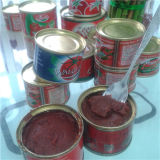 2014 New Crop Tinned Tomato Ketchup/Canned Tomato Paste