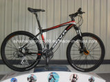 Passed ISO9001 Alloy Bicycle From China (SH-AMTB025)