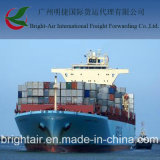 Efficient Sea Freight From China to Lima, Peru