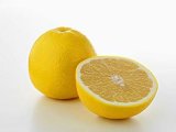 Citrus Paradisi Macfadyen Extract Our Best-Selling Product