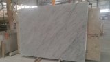 Bianco Carrara Venato Marble