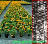 Weed Control Mat-Ground Cover