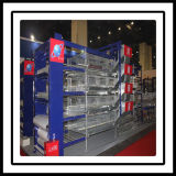 H Type Layer Chicken Farm Equipment Poultry Cages for Sale
