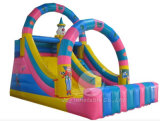 Colorful Inflatable Slide (T3-109)