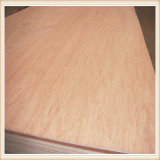 4mm Bintangor Plywood for Furniture Use