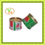 Canned Tomato Paste Factory Gino