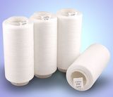 Poly-Poly Core Spun Yarn