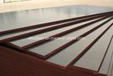 Brown Film Faced Plywood 18x1220x2440mm