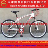 Tianjin Gainer 26