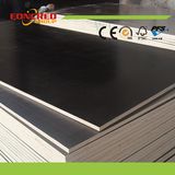 Water and Wear-Resistant Film Faced Plywood (15mm, 18mm)