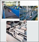 Conveyor & Processing Belt
