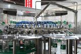 CE Approved Beverage Tea & Cereal Bottling Machine