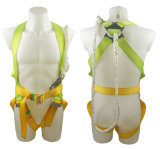Safety Harness - 1 D Ring W/Lanyard, Model# DHQS050